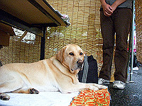 dscn0774_thumb.jpg
