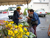 dscn0793_thumb.jpg