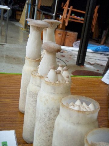 dscn0812.jpg