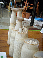 dscn0812_thumb.jpg