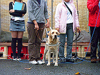 dscn0825_thumb.jpg